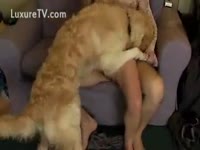 Horny whore drilled by fluffy dog